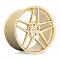 [CRAY 676.8 - GLOSS GOLD W/ MIRROR FACE]